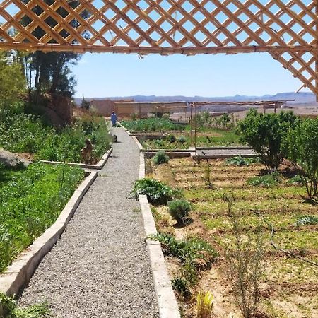 Maison D'Hotes Dar Panorama Skoura Buitenkant foto