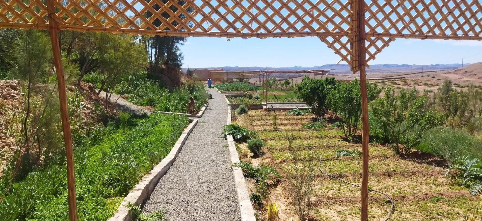 Maison D'Hotes Dar Panorama Skoura Buitenkant foto