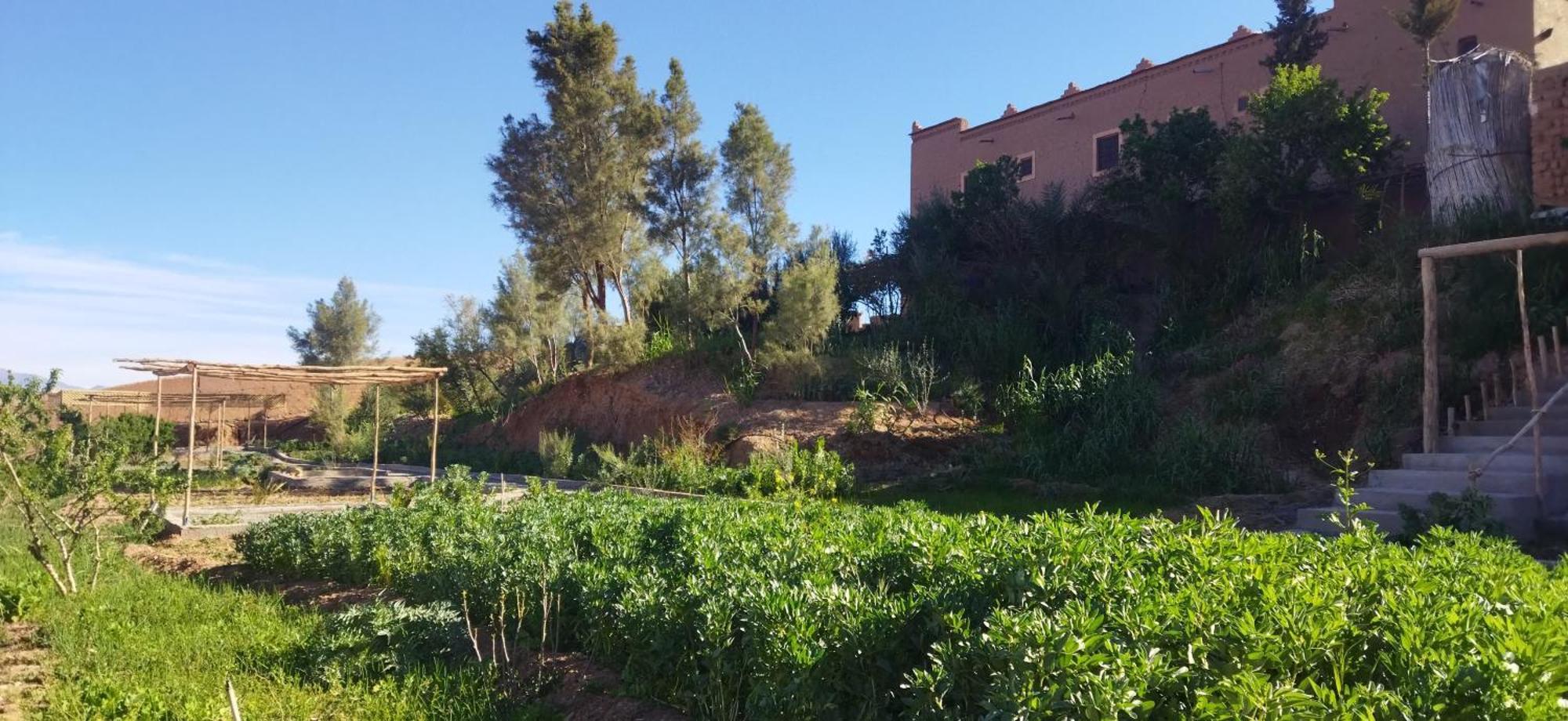 Maison D'Hotes Dar Panorama Skoura Buitenkant foto